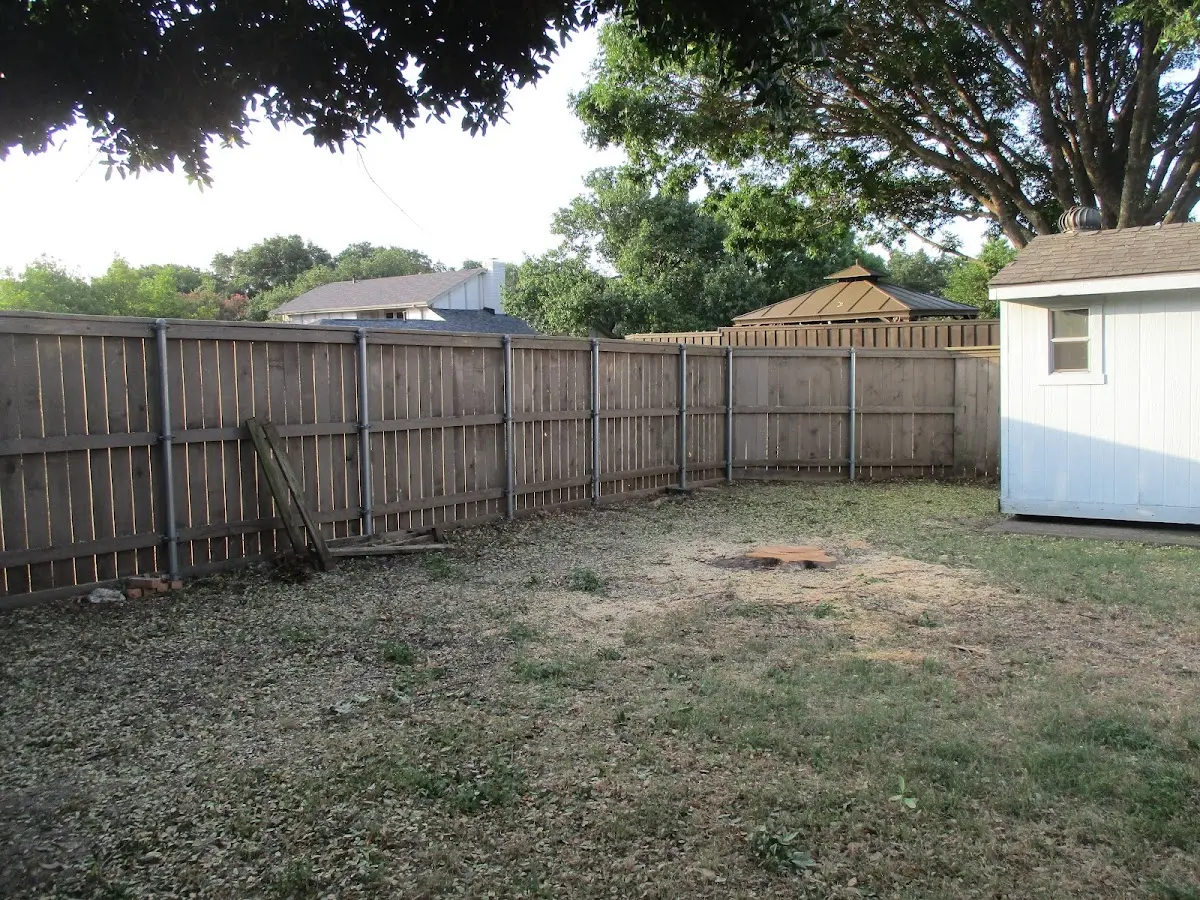 Cleared yard after professional tree removal in Ronda